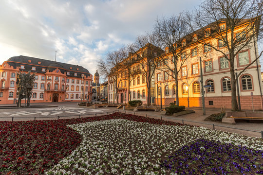 Blumenbeet am Schillerplatz in Mainz