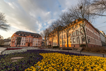 Blumenbeet am Schillerplatz in Mainz