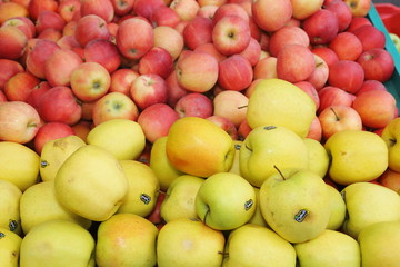 mela frutto autunnale