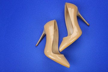 Stylish female shoes on color background