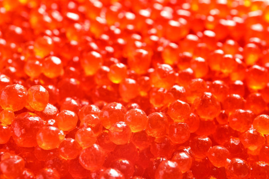 Delicious red caviar, closeup