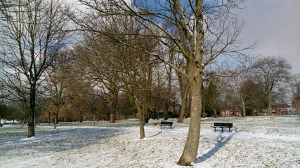 winter park