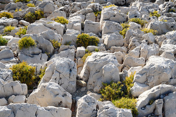 White rocks on the seashore in the light of sunset rays