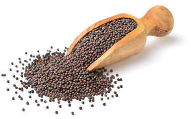 dried canola seeds in the olive wood scoop, isolated on white
