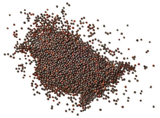 Naklejka premium dried canola seeds isolated on white, top view