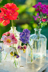 summer flowers