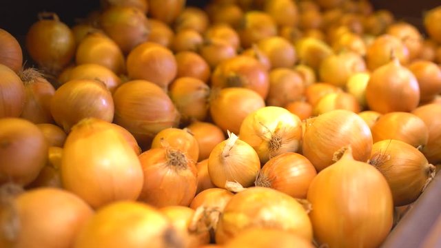onions in farmer's market. 4 k