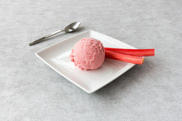 Scoop of Rhubarb Ice Cream and Pink Rhubarb