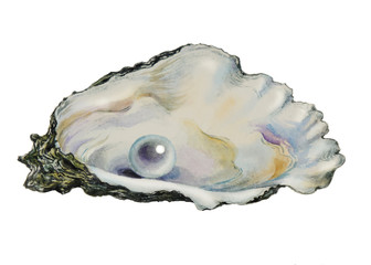 pearl in pearl shell