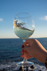 Tasting of glass of cold white wine on outdoor terrace with sea view