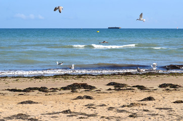 plage d'arromanches les bains