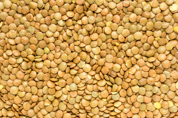 Ripe yellow lentils background texture, brown natural lentils closeup