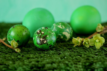Quail and chicken eggs coloured green on the grass