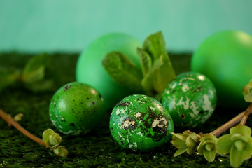 Quail and chicken eggs coloured green on the grass