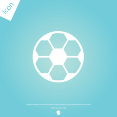 Obraz premium Soccer ball vector icon