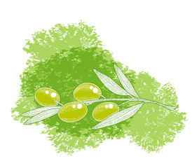 Olive tree branch sketch illustration with green watercolor spot. Hand drawn vector illustration.