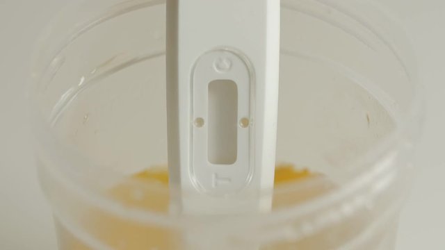 Pregnancy test in action.Two lines mean pregnant. Close up, macro shot zoom in.