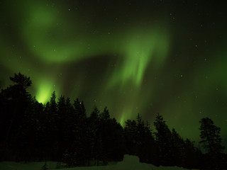 Naklejka premium Northern lights