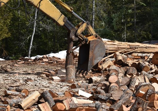 Backhoe wood sale splitter