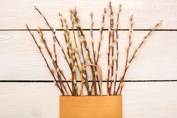 Willow in a paper bag celebration objects top view © Viktoriia