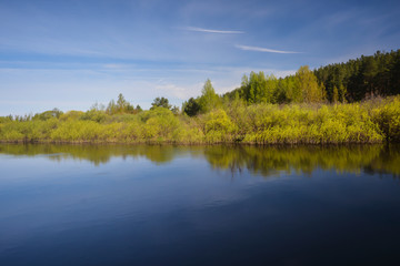 Fototapeta na wymiar Spring on the forest river.