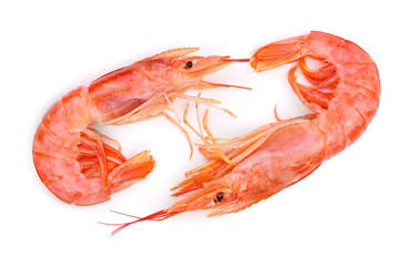 Red cooked prawn or shrimp isolated on white background. Top view