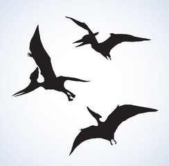 Pterodactyl. Vector drawing