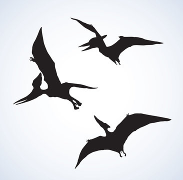 Download 2 069 Best Pteranodon Images Stock Photos Vectors Adobe Stock
