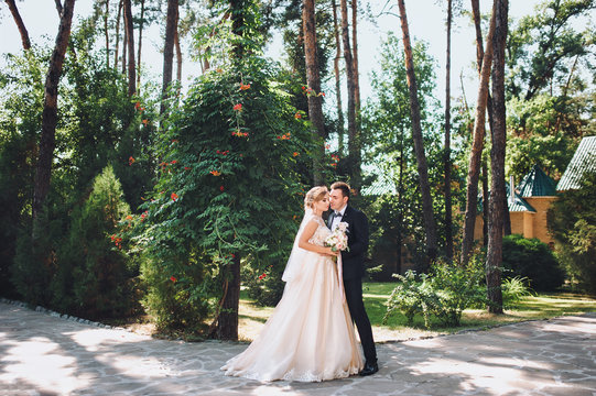 The bride and groom are hugging in the summer park. A wedding lace dress.