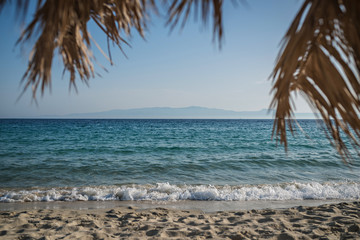 Fototapeta na wymiar Beach holiday background, calm sea palm tree