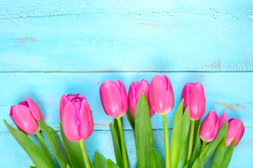 Pink tulips on wooden blue background. Conception holiday, March 8, Mother's Day. Flat lay and copy space