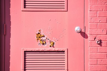 Rusting Door