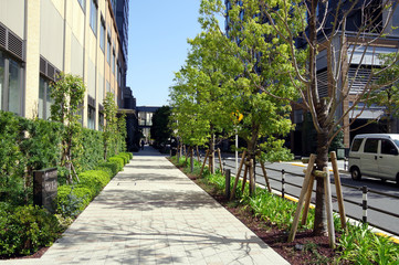 並木道（歩道）