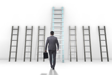 Career progression concept with various ladders