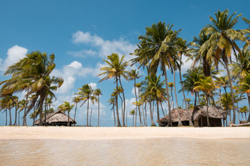 beach vacation - summer holiday on island beach with palm trees