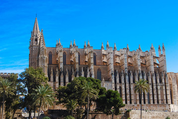Obraz premium CATHEDRAL, MAJORCA, SPAIN