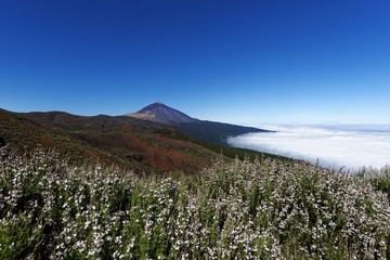 Teneriffa - Teide