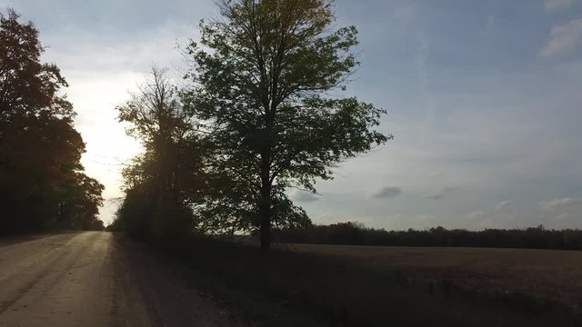 Evening view of a rural road