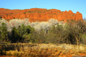 Spectacular red rock formations in the Red Rock State Park in the Coconino National Forest in Arizona in Sedona, in the American South West