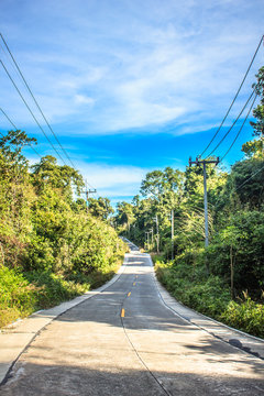 Concrete road with forest side road