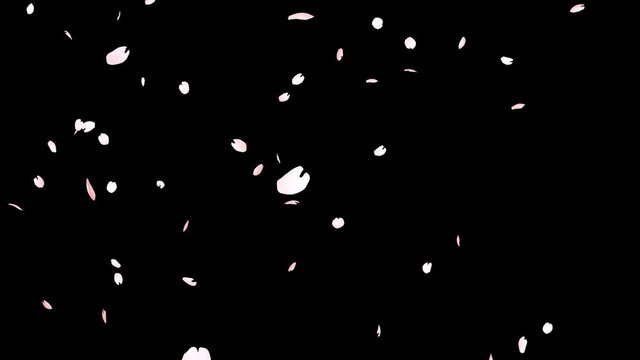 CG桜の花びら
