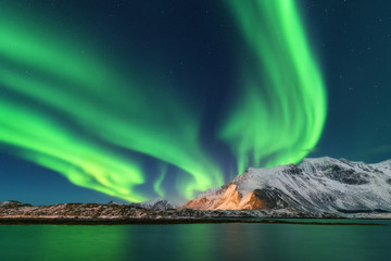 Aurora borealis. Lofoten islands, Norway. Aurora. Green northern lights. Starry sky with polar...