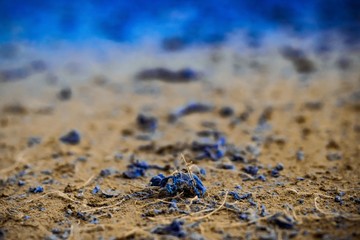 Abstract Blue Texture Art