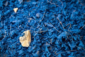 Abstract Blue Texture Art