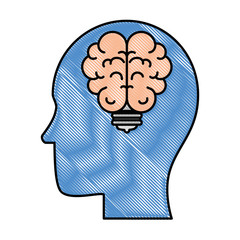 human profile with bulb and brain vector illustration design