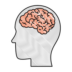 profile with brain human organ icon vector illustration design