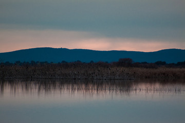 Sun reflected on water