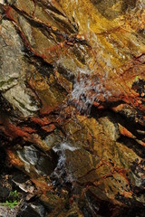 Mountain spring cascade