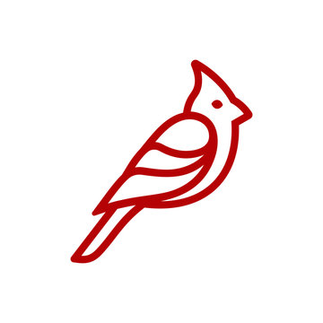 RED CARDINAL BIRD