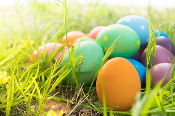 Easter egg ! happy colorful Easter sunday hunt holiday decorations Easter concept backgrounds with copy space